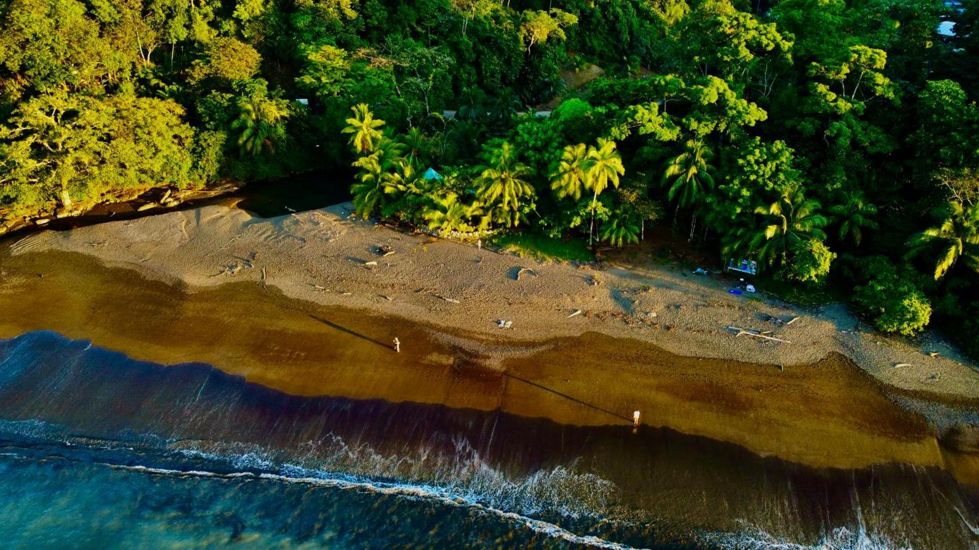 Beach House Дрейк Екстер'єр фото
