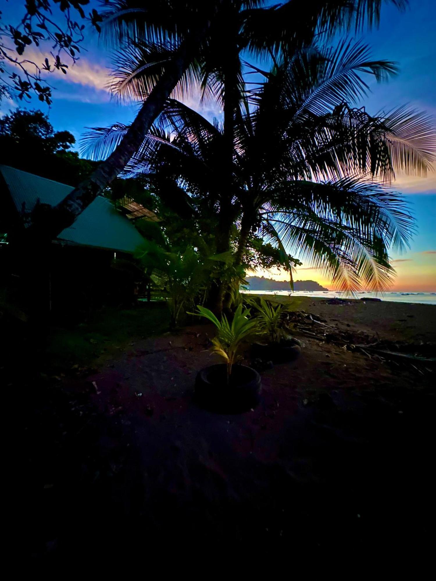 Beach House Дрейк Екстер'єр фото